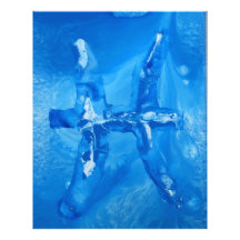 Pisces Photographic Print