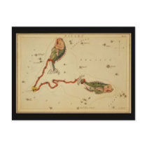 Pisces