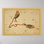 Pisces The Fish - Vintage Sign of the Zodiac Image