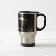 Pisces Zodiac Symbol Mug