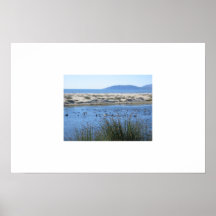 Pismo Beach, CA Posters
