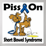Piss On Short Bowel Syndrome posters