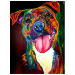 Pit Bull #2 t-shirts
