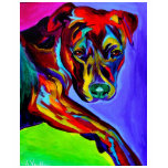 Pit Bull #4 t-shirts