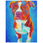 Pit Bull #8 t-shirts
