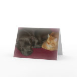 Pit Bull and Tabby Friends Forever Card