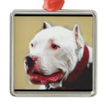 Pit Bull Christmas ornament