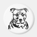 PIT BULL HEAD REFRIGERATOR MAGNET