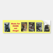 Pit Bull: Made for Hugs not thugs! Bumper Stickers