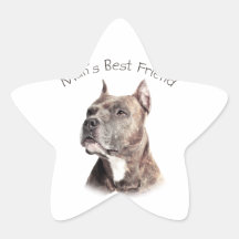 Pit Bull Man's Best Friend Star Sticker