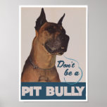 Pit Bull