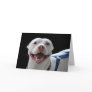 Pit bull smiling card
