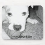 Pit bull with ball mousepad