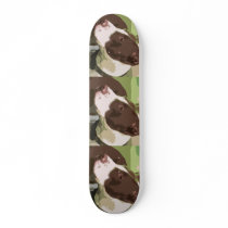 Pit Bulls Rock Skate Board