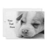 Pit Puppy Invitation