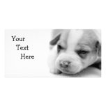 Pit Puppy Photo Card photo cards