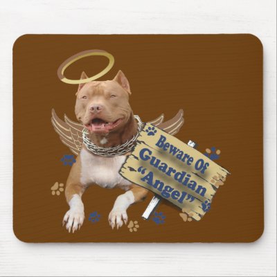 angel pitbull