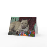 Pitbull Christmas Cards Violet