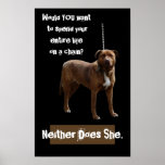 Pitbull Dog on a Chain