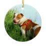 Pitbull dog ornament