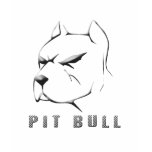 Pitbull draw t-shirts