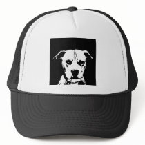 Pitbull Gifts - Hat