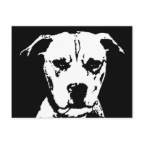 Pitbull Gifts - Postcard
