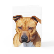 Pitbull greeting card