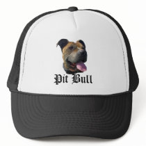 Pitbull hat