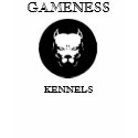 Pitbull logo dog, GAMENESS, KENNELS t-shirts