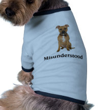 Pitbull - Misunderstood Dog Clothing