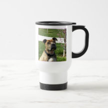 Pitbull Mug