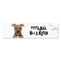 Pitbull on Board