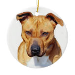 Pitbull ornament