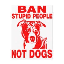 PITBULL POST CARD