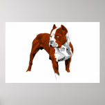 Pitbull print