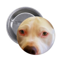 Pitbull Puppy Dog Eyes Art Photography Pinback Button