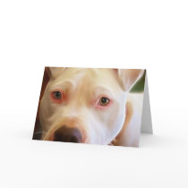 Pitbull Puppy Dog Eyes Art Photography Cards