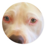 Pitbull Puppy Dog Eyes Art Photography stickers