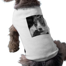 pitbull puppy dog shirt