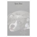 Pitbull puppy stationary custom stationery