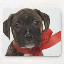 Pitbull puppy wearing red ribbon mouse mats