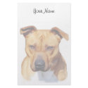 Pitbull stationary stationery