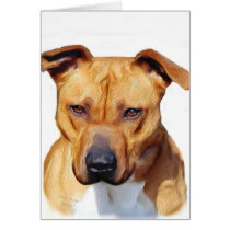 Pitbull Terrier Card