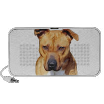 Pitbull Terrier Mini Speakers