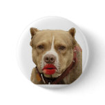 Pitbull Wearing Lipstick Button
