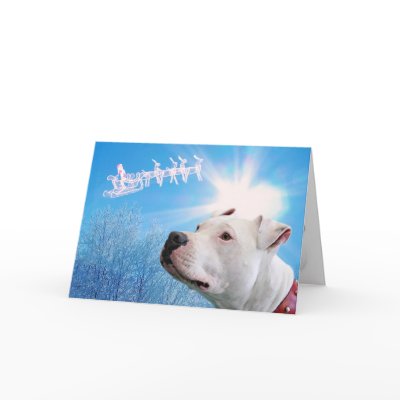 Pitbull White Dog Christmas Wish Card by beverlytazangel