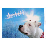 Pitbull White Dog Christmas Wish Card