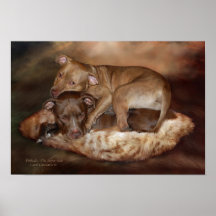 Pitbulls - The Softer Side Art Poster/Print