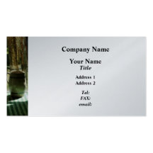 Pitcher By Window - Platinum Finish Business Cards